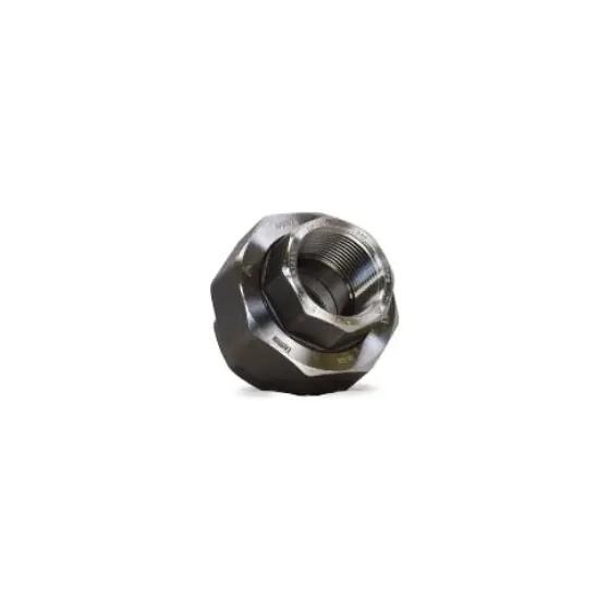 Forged Steel Union Class 3000 NPT