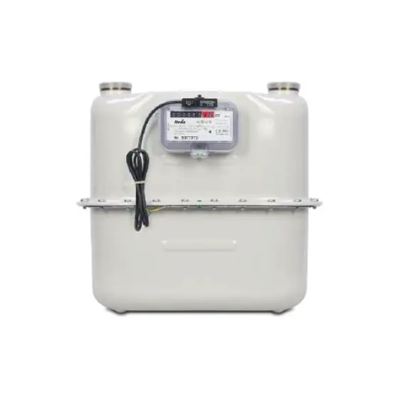 G16 Gas Meter