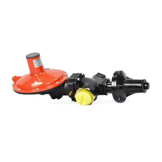250 kg/hr Regulator