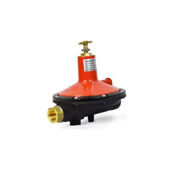 40 kg/hr Regulator
