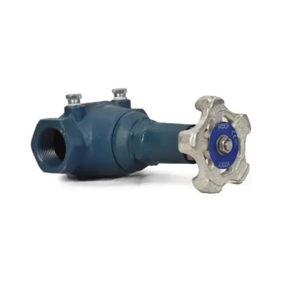 Globe Valve